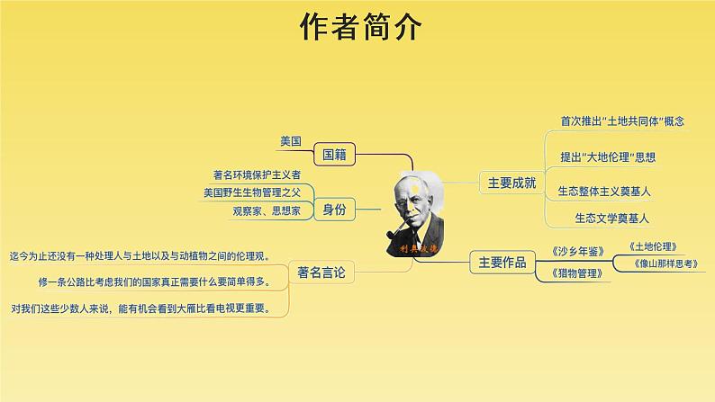 人教部编版八年级下册《大雁归来》教学课件07