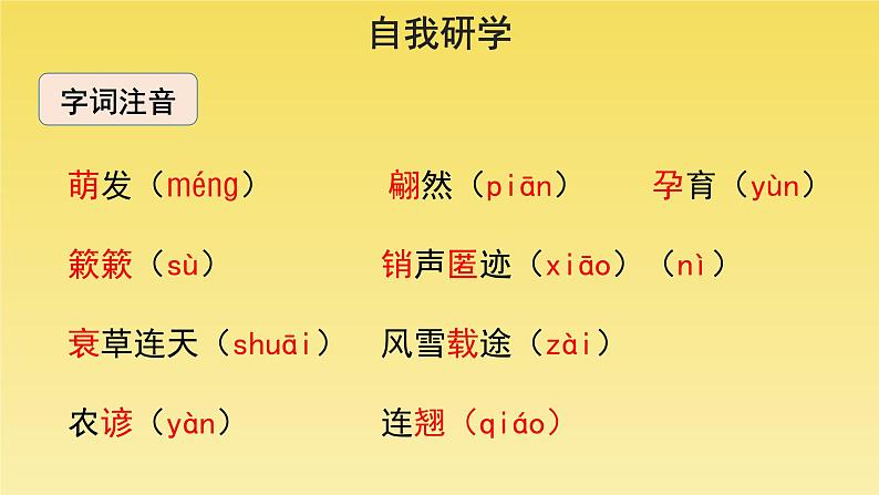人教部编版八年级下册《大自然的语言》第1课时课件第5页