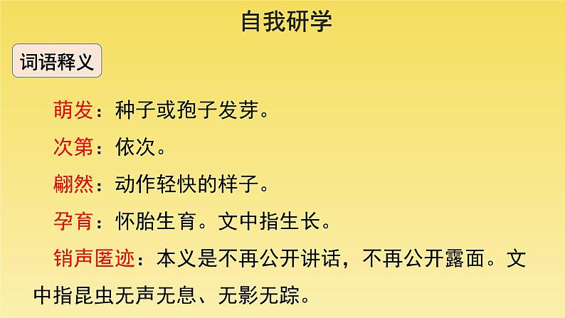 人教部编版八年级下册《大自然的语言》第1课时课件第8页