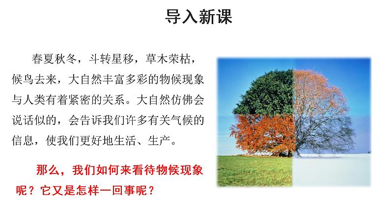 人教部编版八年级下册《大自然的语言》教学课件第5页