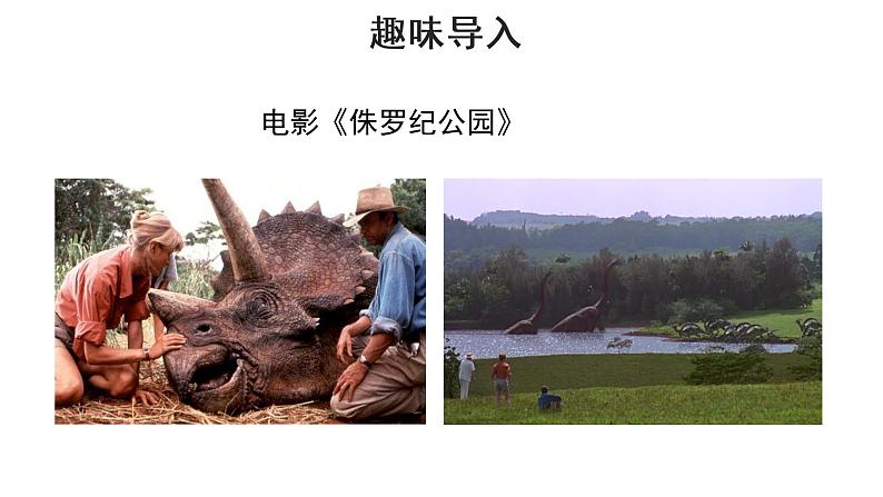 人教部编版八年级下册《恐龙无处不有》教学课件第3页
