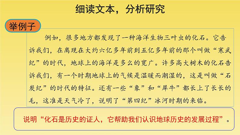 人教部编版八年级下册《时间的脚印》第2课时课件05