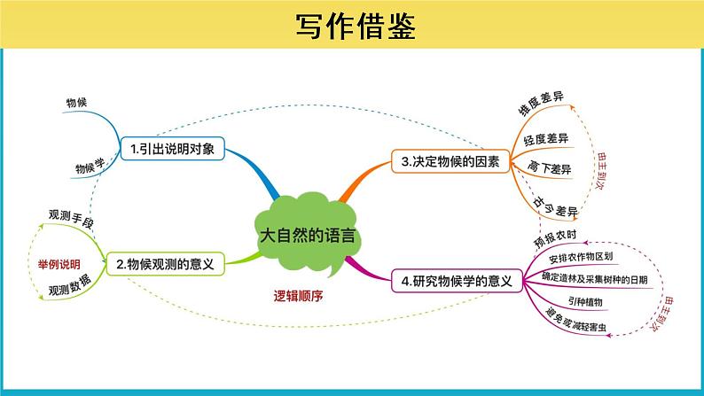 人教部编版八年级下册《说明的顺序》教学课件第6页