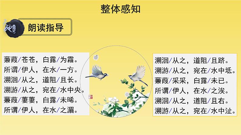 人教部编版八年级下册《蒹葭》课件第3页