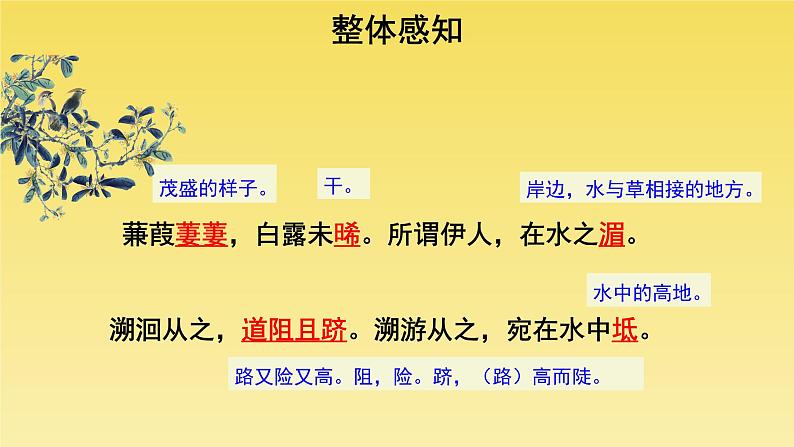 人教部编版八年级下册《蒹葭》课件第6页