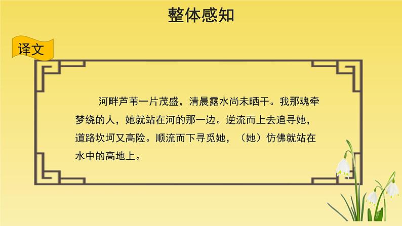 人教部编版八年级下册《蒹葭》课件第7页