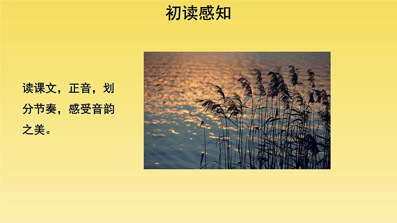 人教部编版八年级下册《蒹葭》教学课件第3页