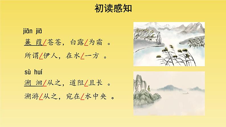 人教部编版八年级下册《蒹葭》教学课件第4页