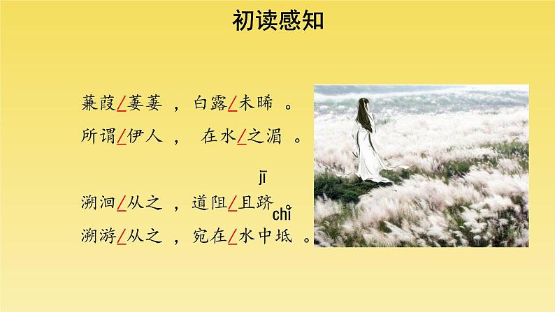 人教部编版八年级下册《蒹葭》教学课件第5页