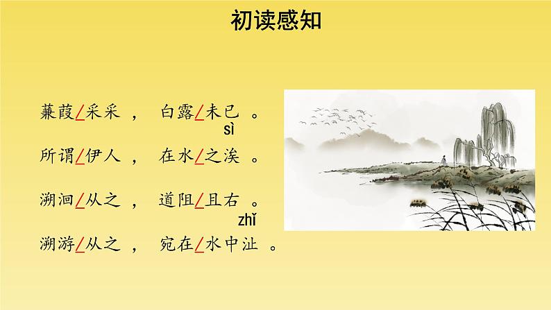 人教部编版八年级下册《蒹葭》教学课件第6页