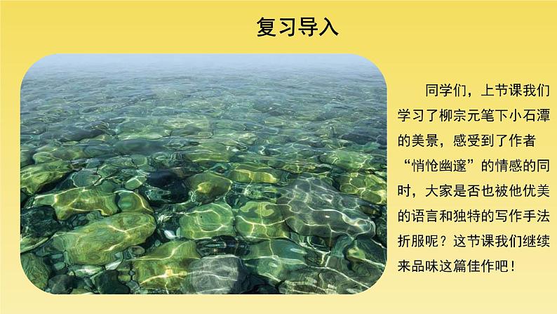 人教部编版八年级下册《小石潭记》第2课时课件05