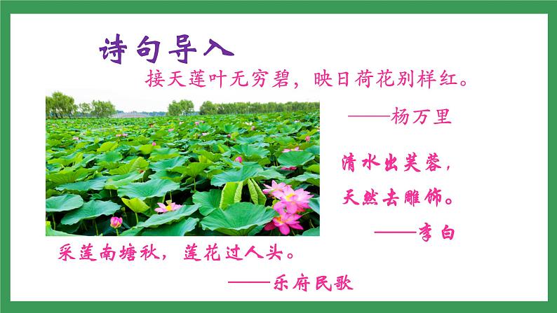 17 短文两篇第3页
