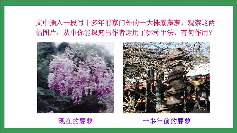 18《紫藤萝瀑布》 第2课时课件+教案+学案+同步练习06