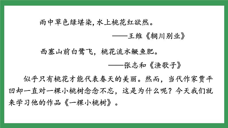 19  一棵小桃树第3页