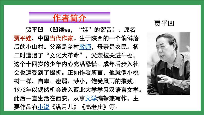 19  一棵小桃树第7页