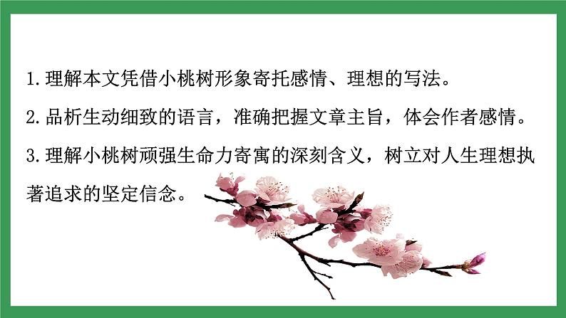 19《一棵小桃树》 第2课时课件+教案+学案+同步练习03