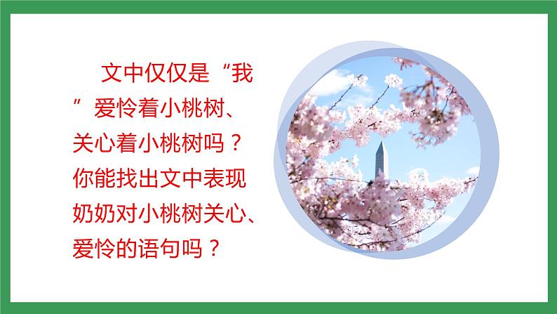 19《一棵小桃树》 第2课时课件+教案+学案+同步练习08