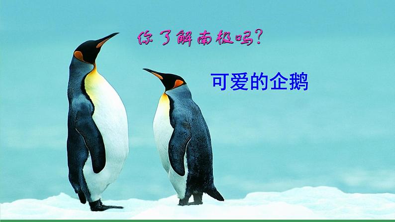 22 伟大的悲剧第4页