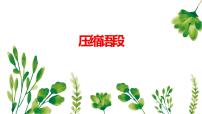 2023年中考语文一轮复习：压缩语段课件