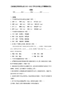 云南省红河州河口县2021-2022学年九年级上学期期末语文试题(含答案)