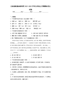 云南省昭通市昭阳区2021-2022学年九年级上学期期末语文试题(含答案)