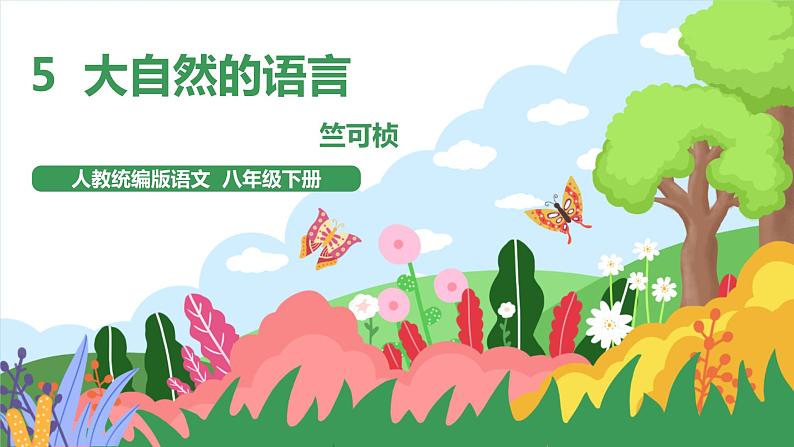 5 《大自然的语言》2课时课件+教案+导学案+同步检测+素材01