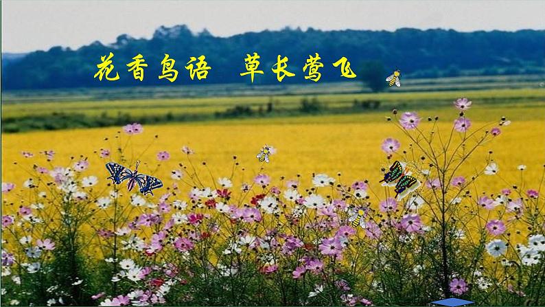 5 《大自然的语言》2课时课件+教案+导学案+同步检测+素材03