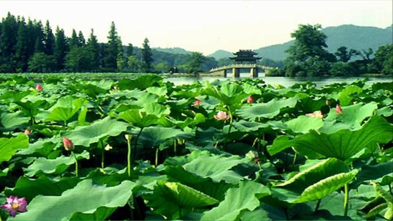 5 《大自然的语言》2课时课件+教案+导学案+同步检测+素材04