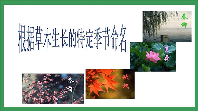 5 《大自然的语言》2课时课件+教案+导学案+同步检测+素材07