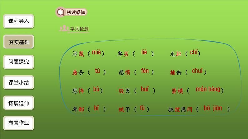 人教部编版八年级下册《最后一次讲演》第1课时教学课件第4页