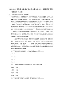 湖北省黄石市大冶市2022-2023学年七年级上学期期中语文试题(含答案)