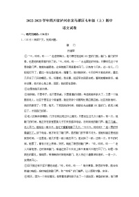 四川省泸州市龙马潭区2022—2023学年七年级上学期期中考试语文试题(含答案)
