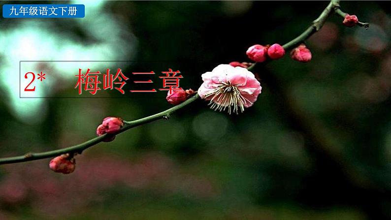 2 梅岭三章 课件02