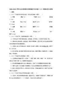 2020-2021学年山东省德州市德城区七年级（上）期末语文试卷