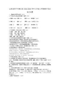 山东省济宁市泗水县2022-2023学年七年级上学期期中考试语文试题(含答案)