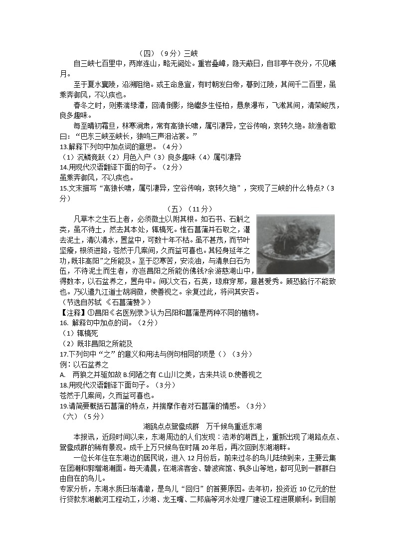 山东省乐陵市2022-2023学年八年级上学期期中考试语文试题(含答案)第3页