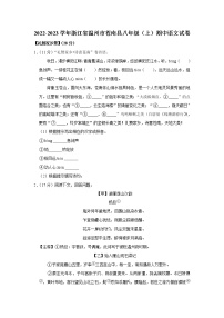 浙江省温州市苍南县2022-2023学年八年级上学期期中语文试卷(含答案)