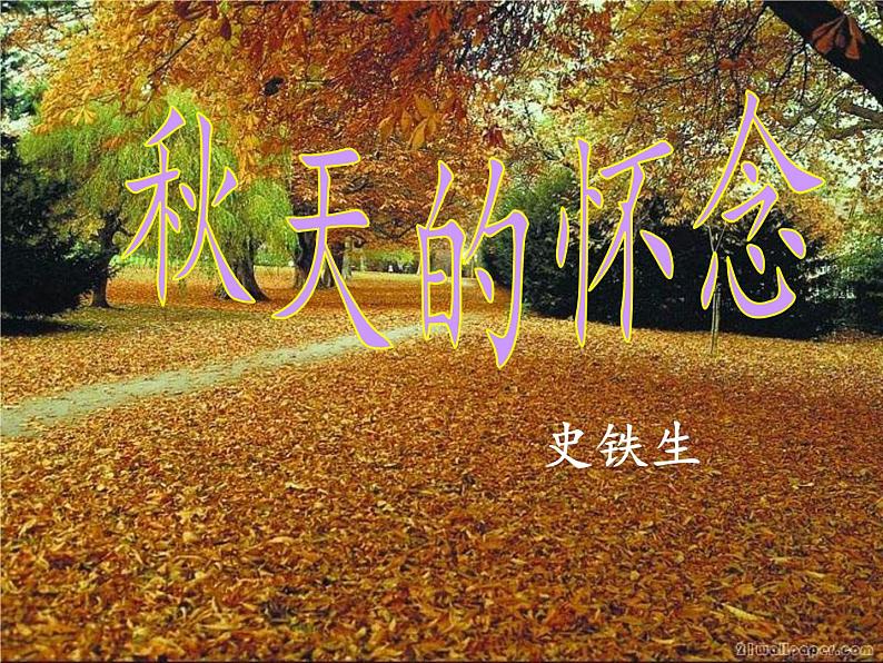 人教版（部编版）初中语文七年级上册  5.秋天的怀念  课件第2页