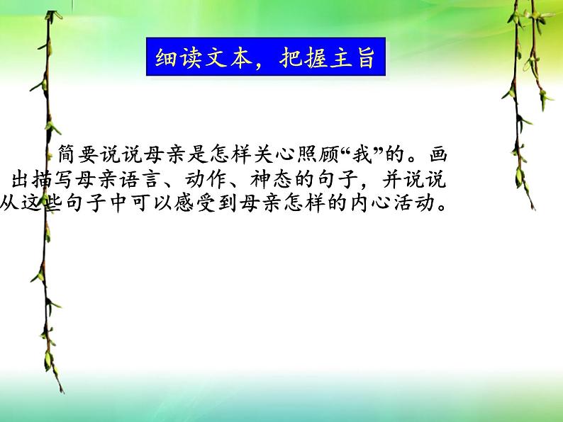 人教版（部编版）初中语文七年级上册  5.秋天的怀念  课件3第7页