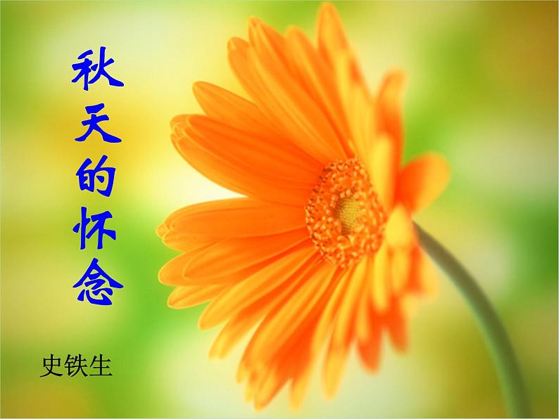 人教版（部编版）初中语文七年级上册  5.秋天的怀念  课件401