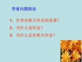 人教版（部编版）初中语文七年级上册  5.秋天的怀念  课件4