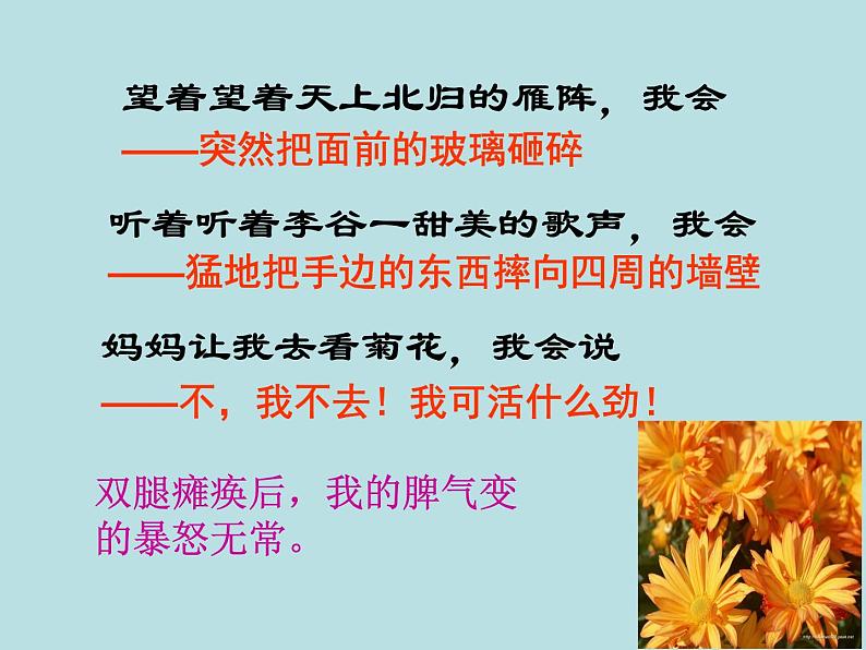 人教版（部编版）初中语文七年级上册  5.秋天的怀念  课件407