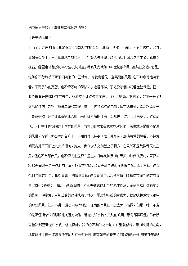 初中语文专题：5篇独具写作技巧的范文第1页