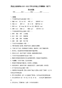 黑龙江省讷河市2021-2022学年九年级上学期期末（线下）语文试题(含答案)