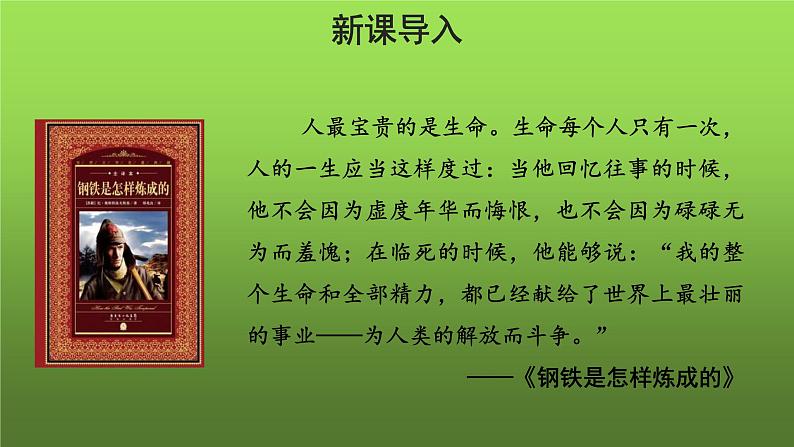 人教部编版八年级下册《钢铁是怎样炼成的》摘抄和做笔记课件02