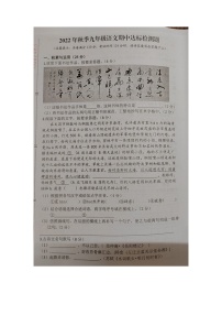 海南省临高县 2022-2023学年九年级上学期期中检测语文试题（含答案）