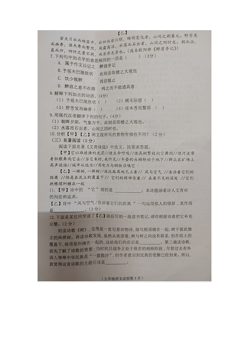 海南省临高县 2022-2023学年九年级上学期期中检测语文试题（含答案）第3页