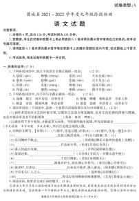 陕西省渭南市蒲城县2021-2022学年九年级上学期期中考试语文试卷