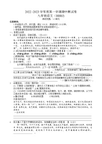 河南省商丘市2022-2023学年九年级上学期期中语文试题(含答案)