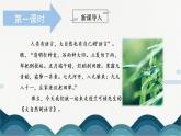 5《大自然的语言》课件PPT+教案